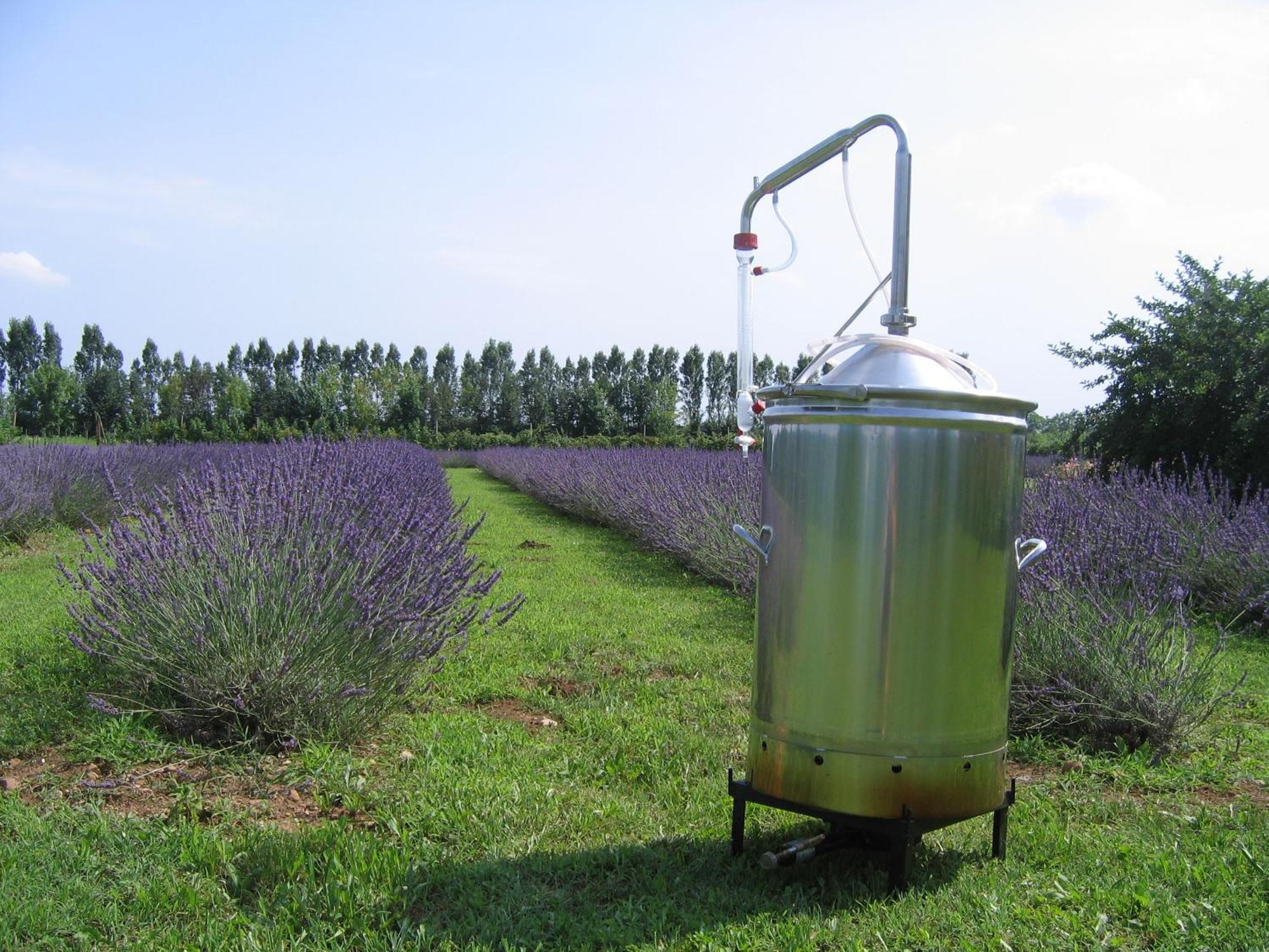 Agriturismo Domus Magna Povoletto Kültér fotó
