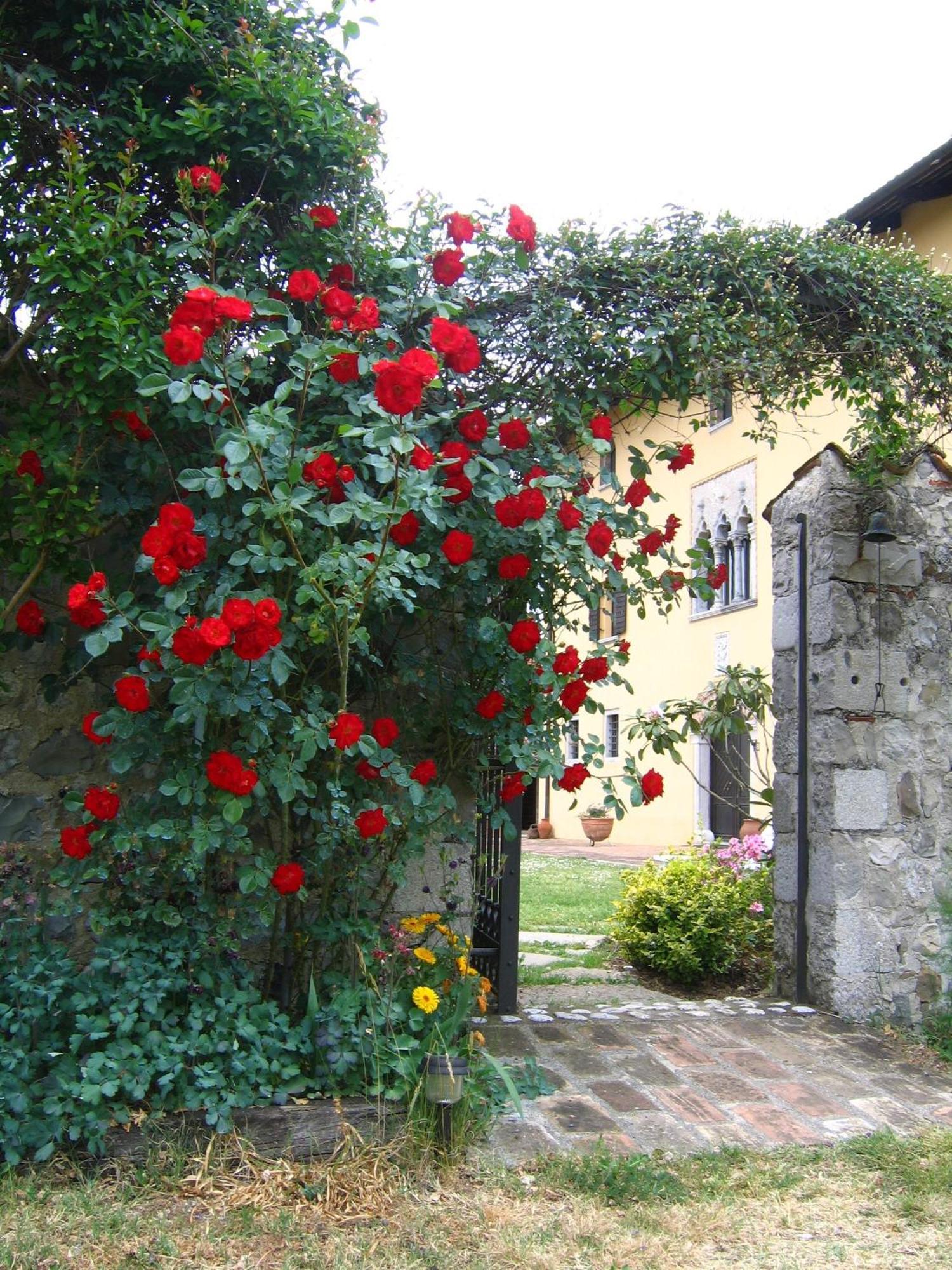 Agriturismo Domus Magna Povoletto Kültér fotó