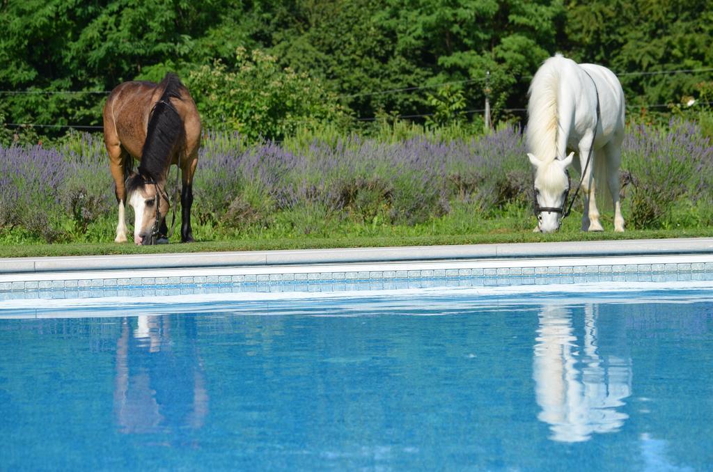 Agriturismo Domus Magna Povoletto Kültér fotó