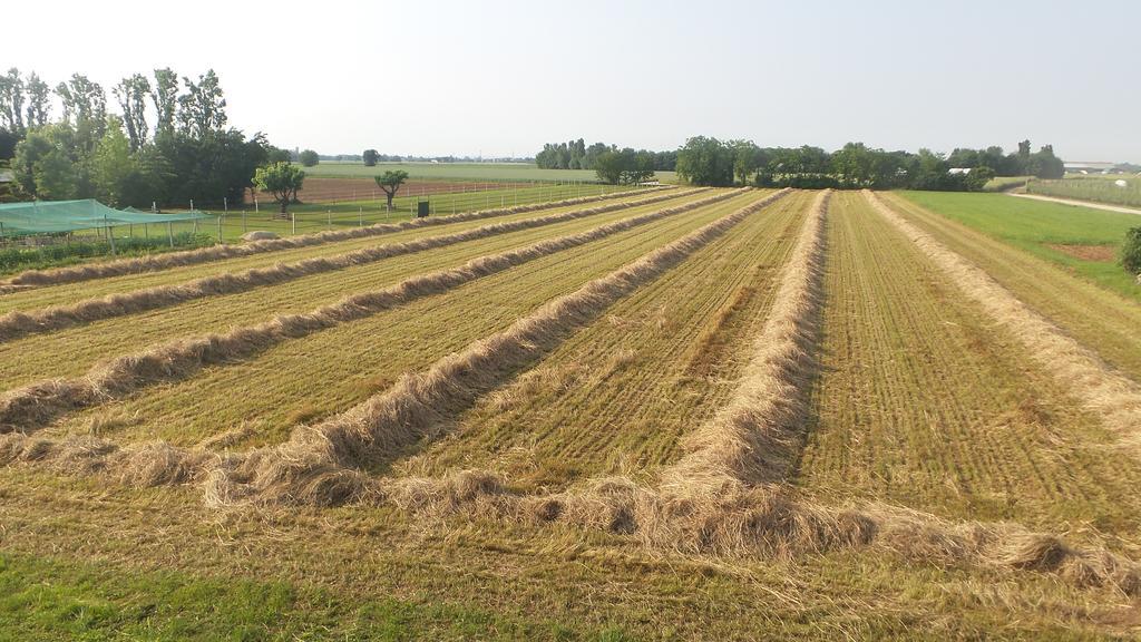 Agriturismo Domus Magna Povoletto Kültér fotó